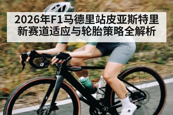 2026年F1马德里站皮亚斯特里新赛道适应与轮胎策略全解析